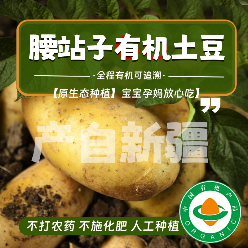 腰站子有机土豆5KG