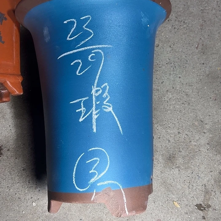 周深周深周深周深