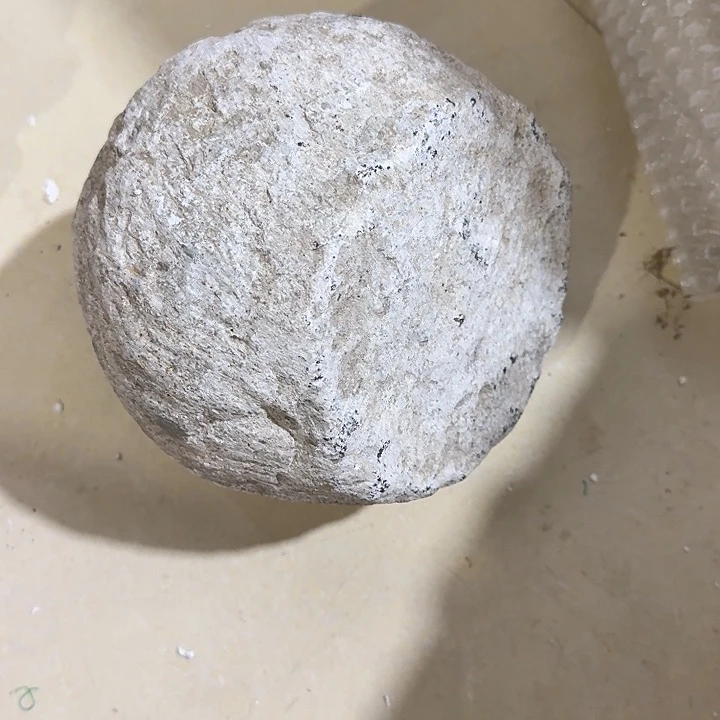 呼***呼扇子故哈哈哈哈哈哈哈哈哈哈