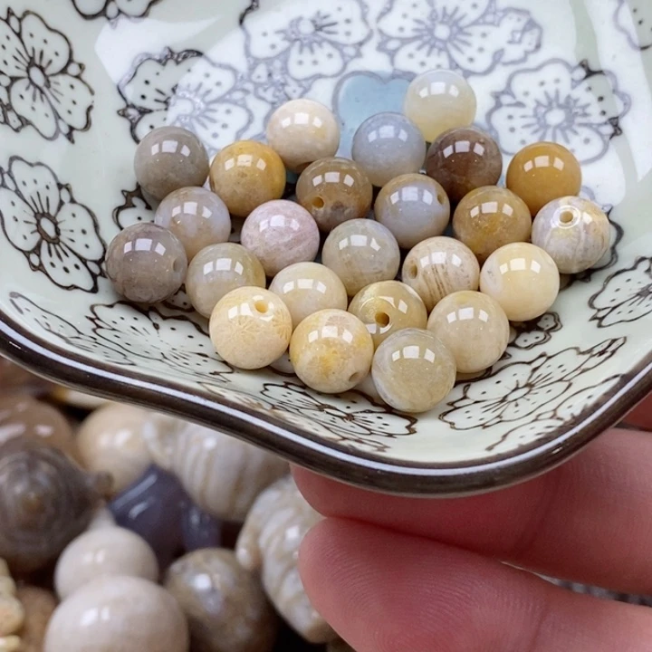硅化珊瑚（珊瑚玉）未镶嵌颈饰