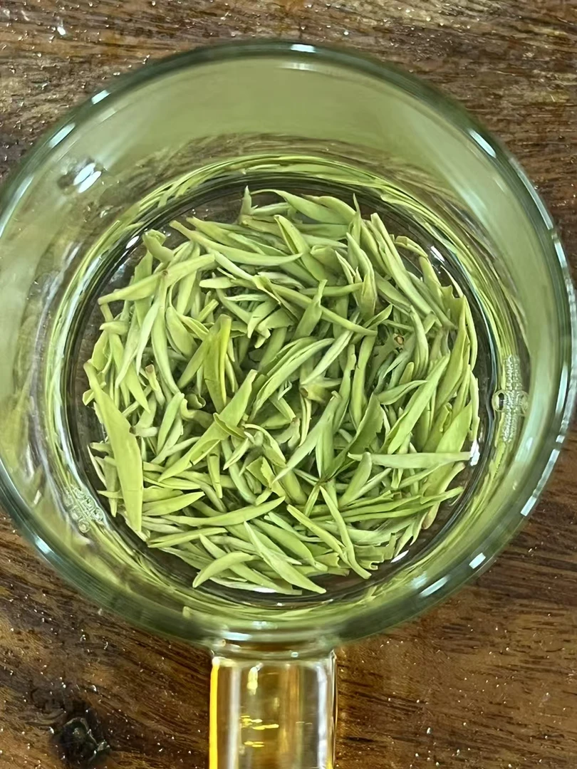 2025年头采早春茶汤湖狗牯脑绿茶明前特贡特级鲜爽回甘