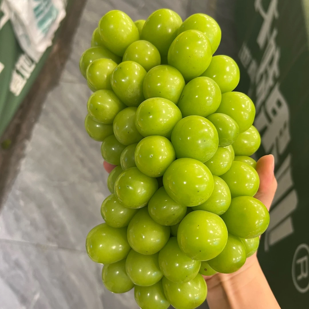 【富贵专属顺丰次日达】阳光玫瑰葡萄2串装2公斤以上新鲜云南省