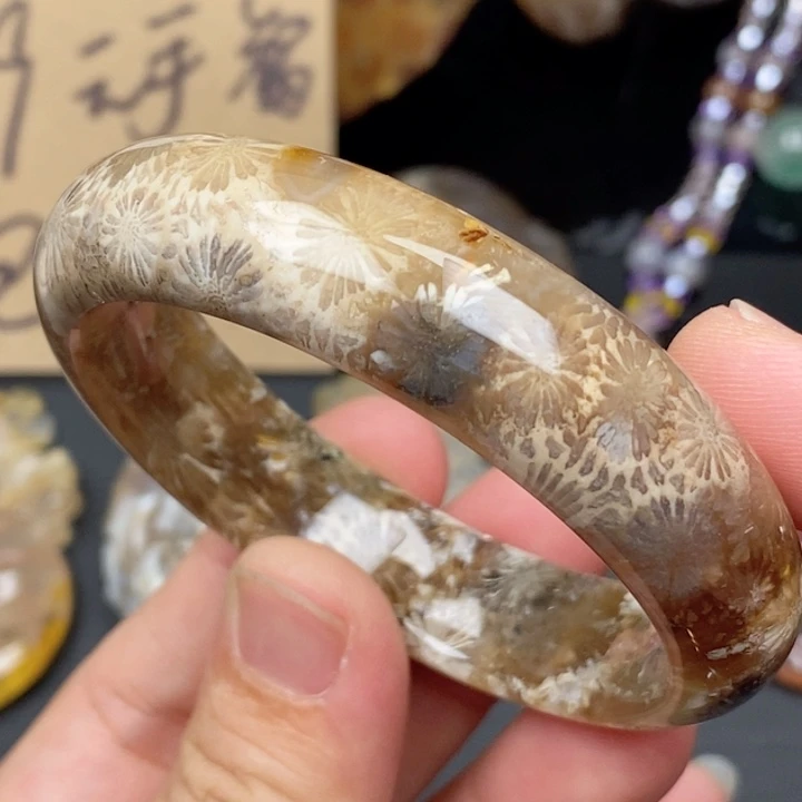 硅化珊瑚（珊瑚玉）手镯未镶嵌53