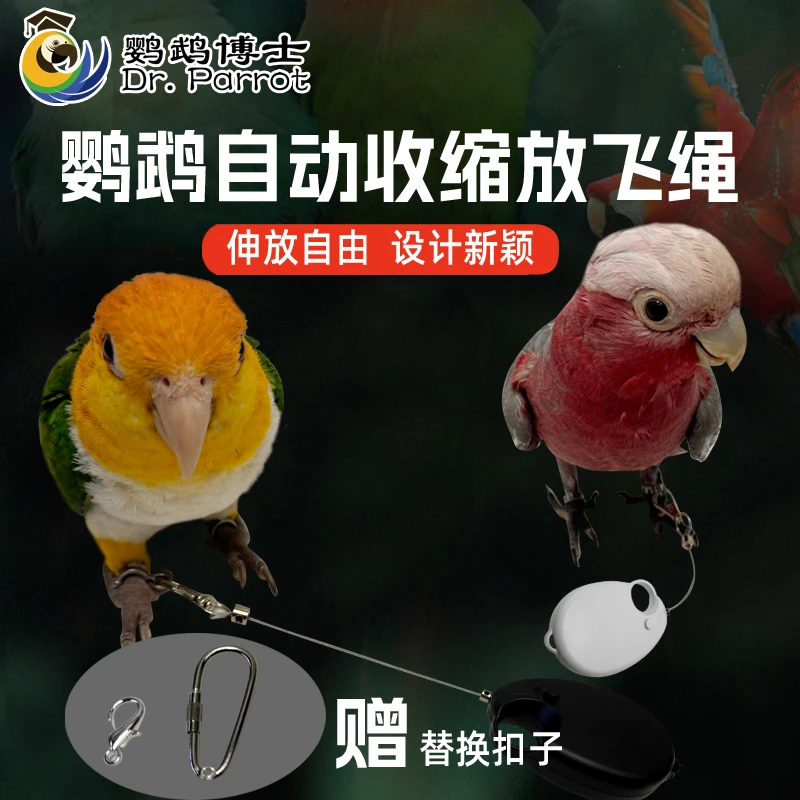 鹦鹉放飞绳不伤脚超轻训练绳虎皮玄凤八哥脚环脚链脖套遛鸟飞行绳