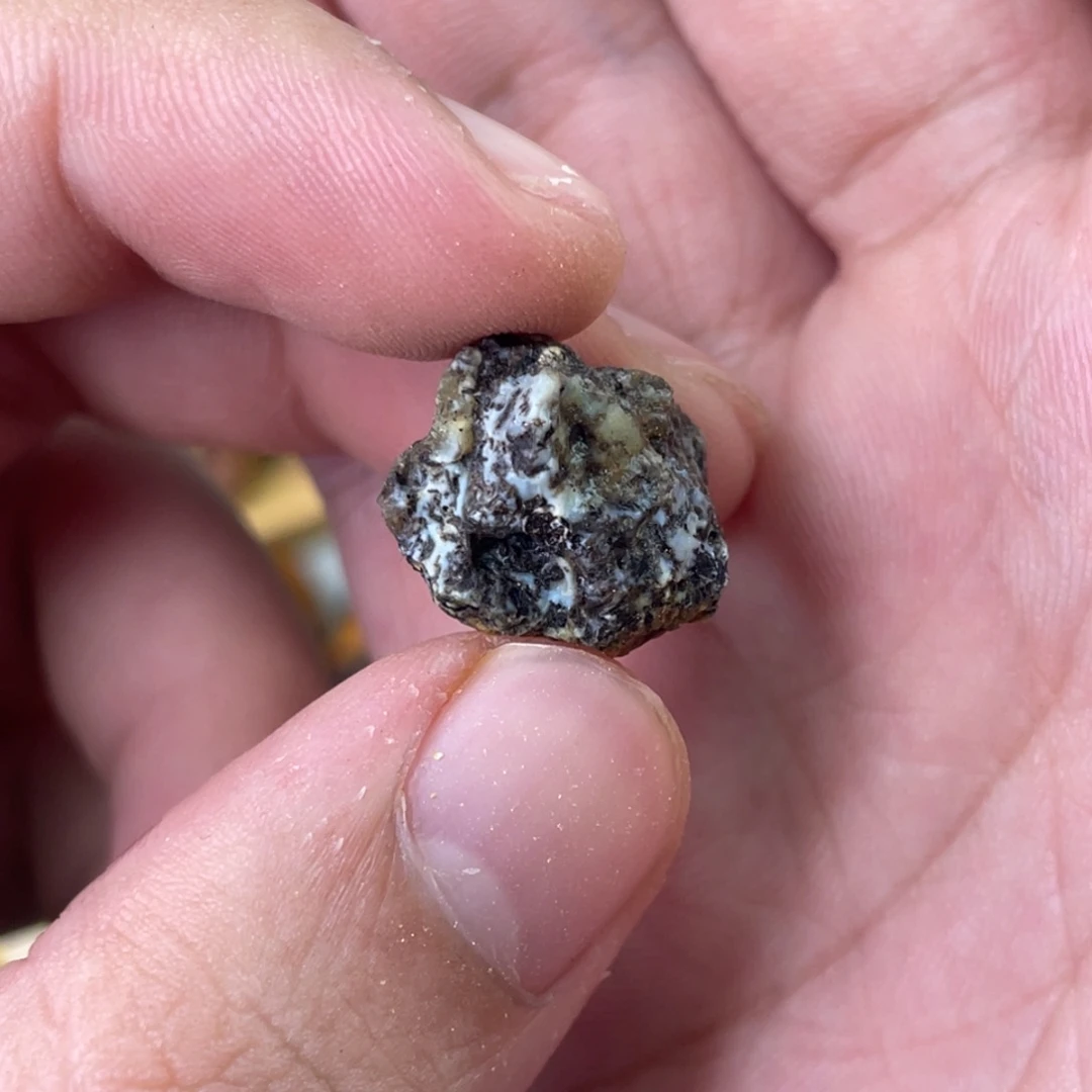 定制琥珀天然琥珀奥利奥9*8老型