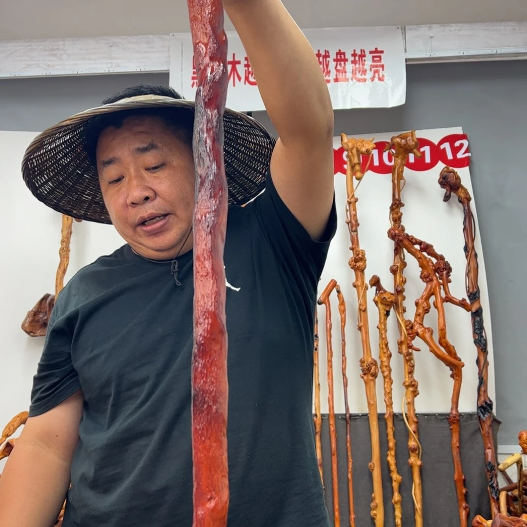 用***3黑果木其他黑果木534