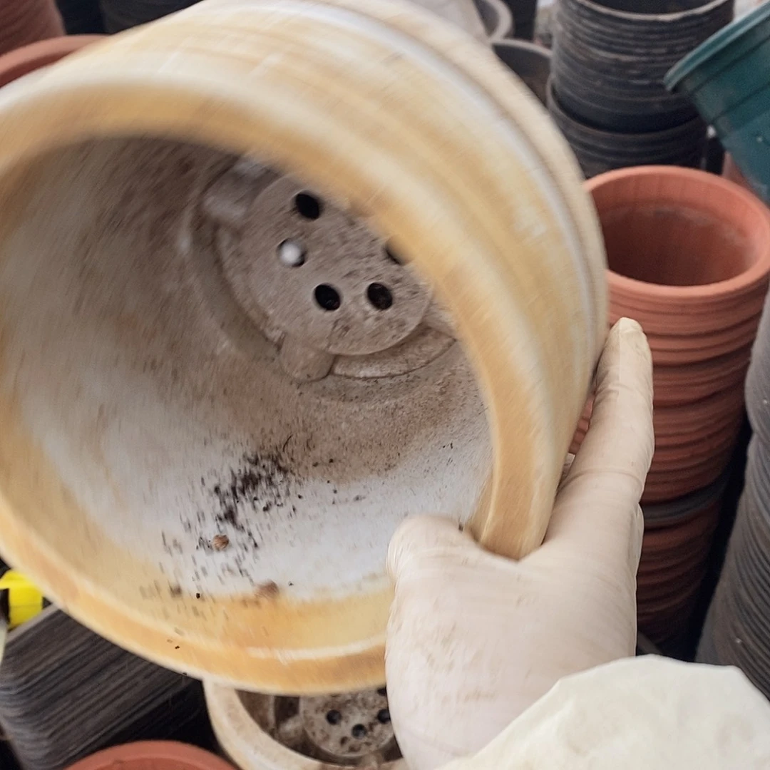 塑料旧19 公分左右15个