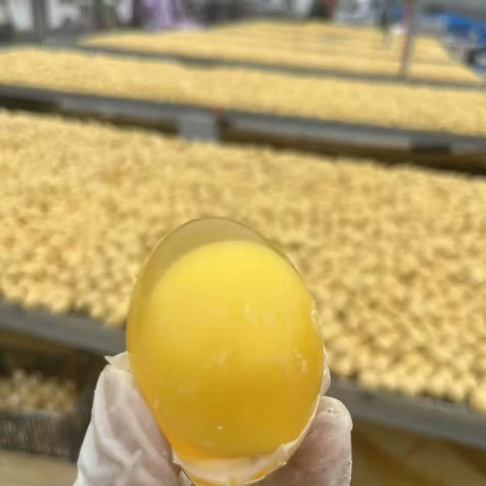 河南特产鸡蛋变蛋松花蛋无铅溏心五香金黄