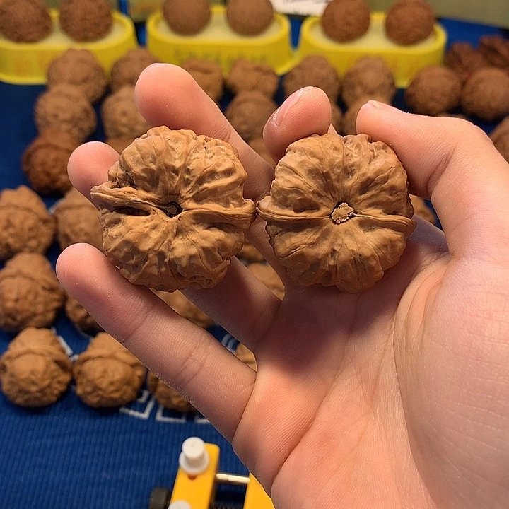 蛤蟆头特价款。全品无修