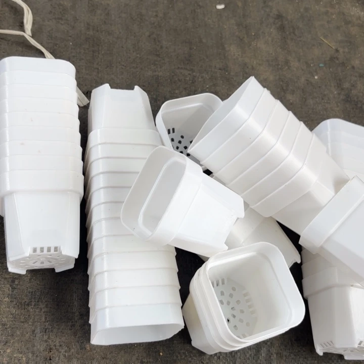 6.5公分白方盆60个