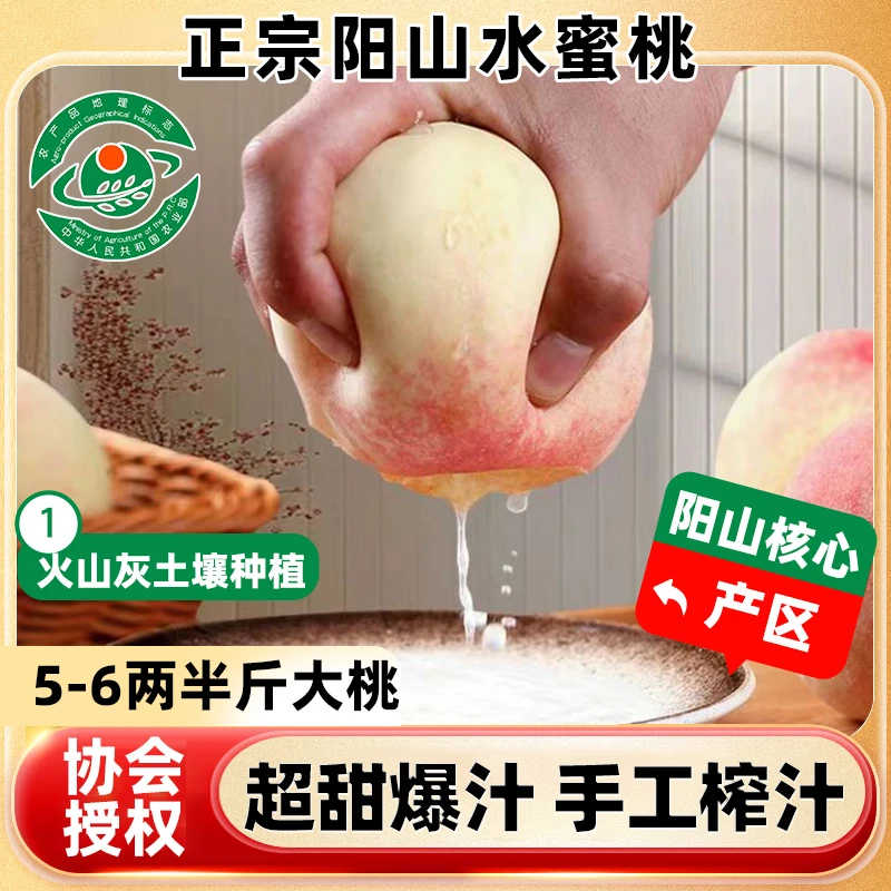 【桃爸爸】正宗无锡阳山水蜜桃白凤6-5两大果香甜软糯皮薄多汁整箱