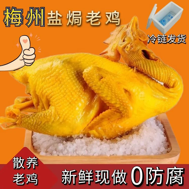 广东梅州客家传统盐焗老鸡五指毛桃老鸡尝鲜装 开袋即食