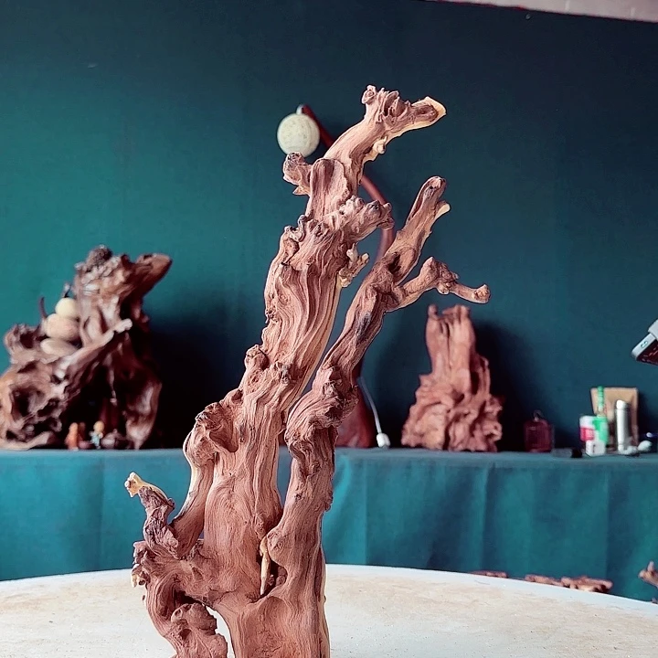 黑果木靳*云091金丝红木羊蹄甲半成品