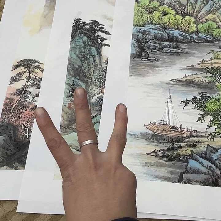 国画清*花鸟的翅膀和翅膀都是白色的羽毛和