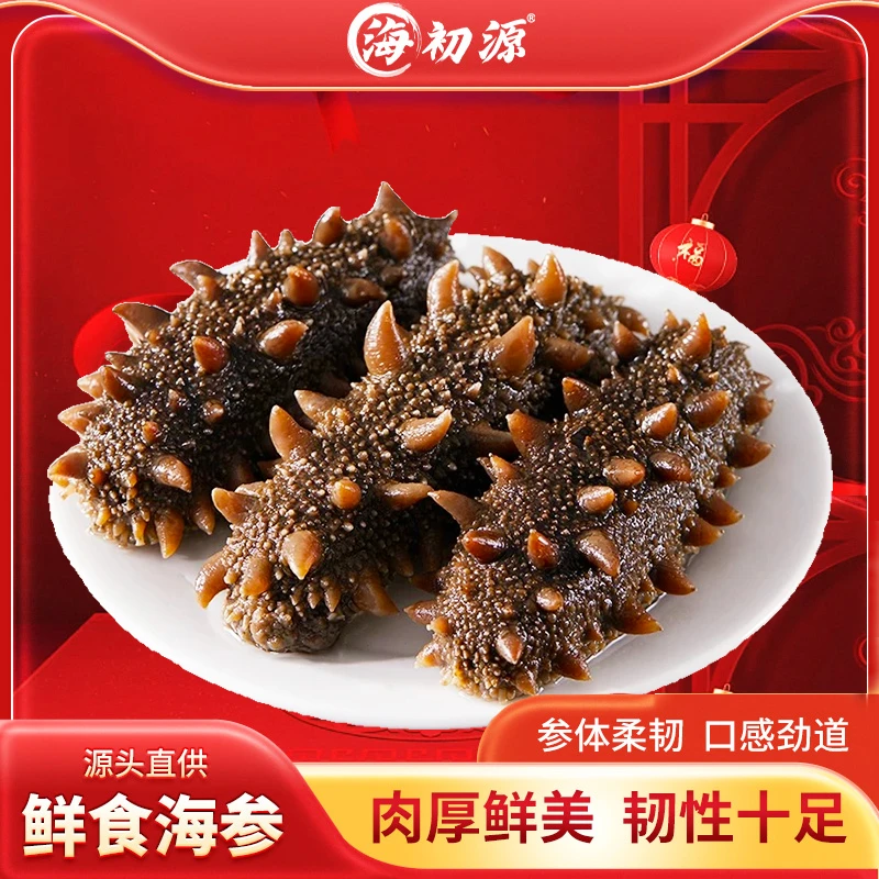 【可试吃1根】海初源鲜食款即食海参到手两斤约20-24只 预售