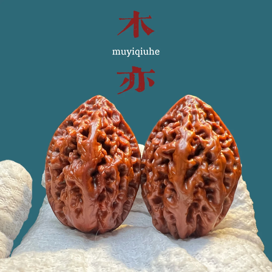 楸子直播链接-拍价格