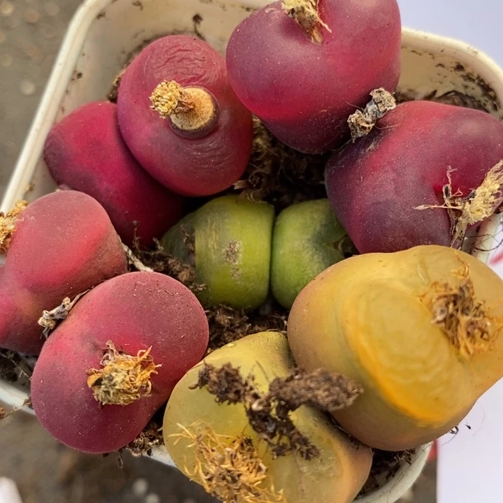 2760一组一组一组