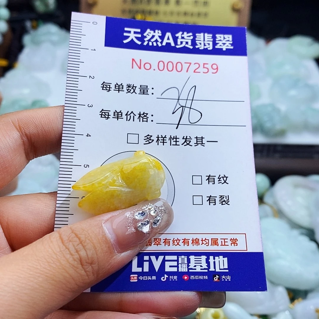 翡翠未镶嵌毛衣链7259