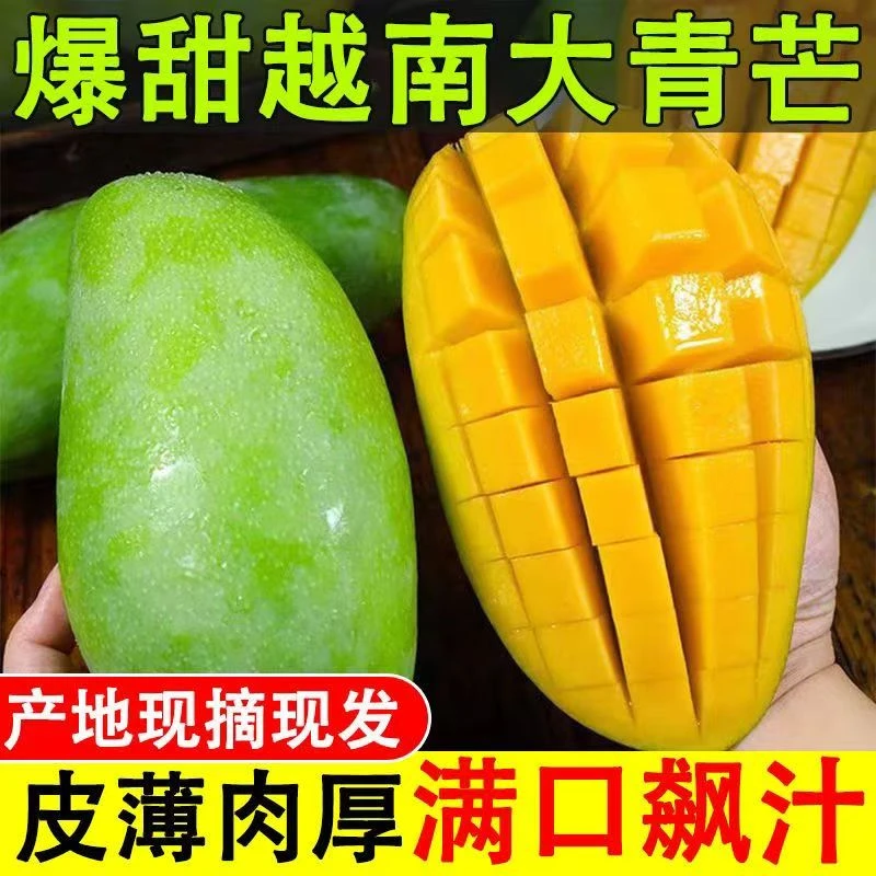 正宗热带水果现摘现发新鲜水果皮薄肉厚爆甜多汁大青芒玉芒果