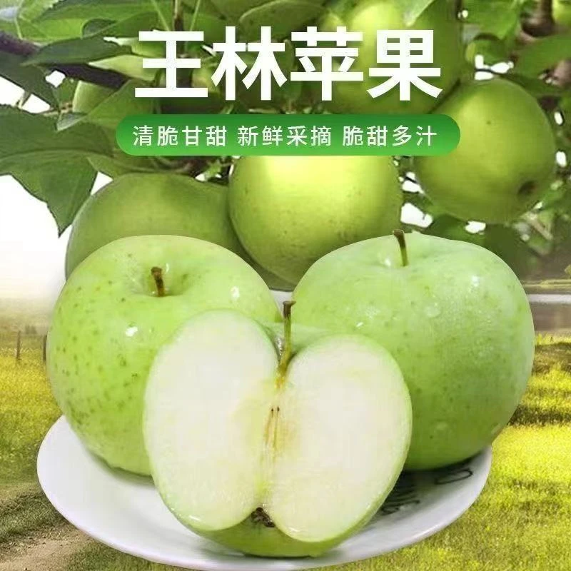 王林苹果整箱3/5斤新鲜采摘青森王林雀斑美人丑苹果当季水果脆甜