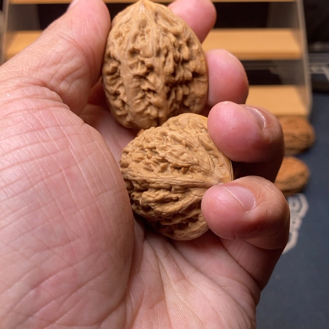 真***️文玩核桃把件38凤凰台