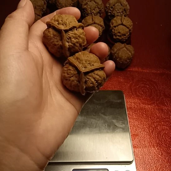 文玩核桃把件三棱疙瘩包2号