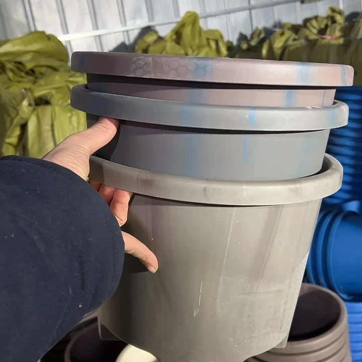 串色大球根32外径24高3个盆