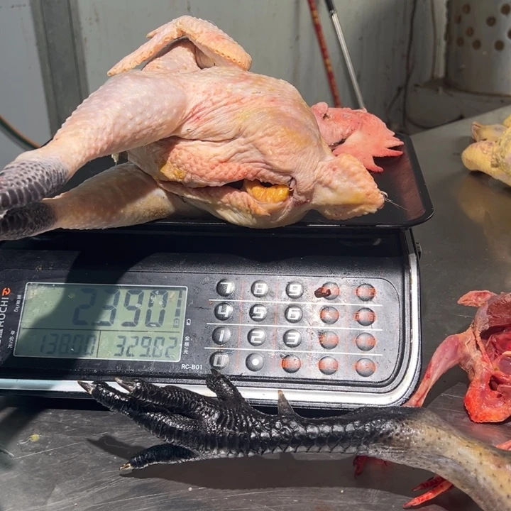 一号土鸡食用农产品中国大陆妍