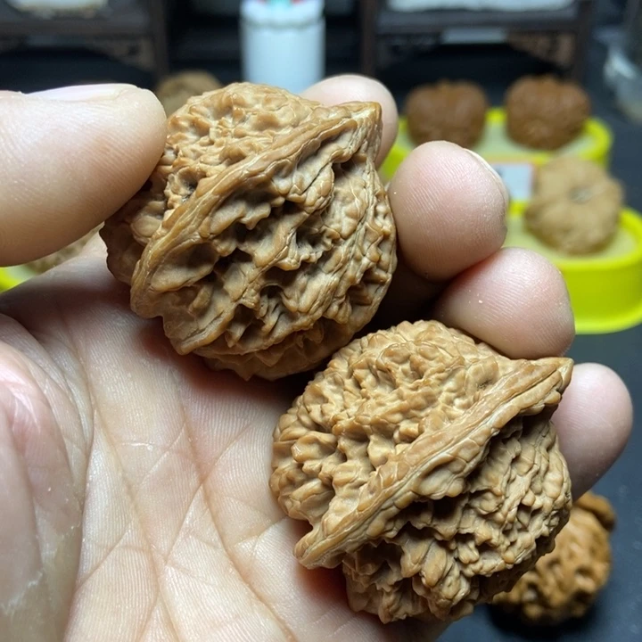 核桃满天星狮子头006