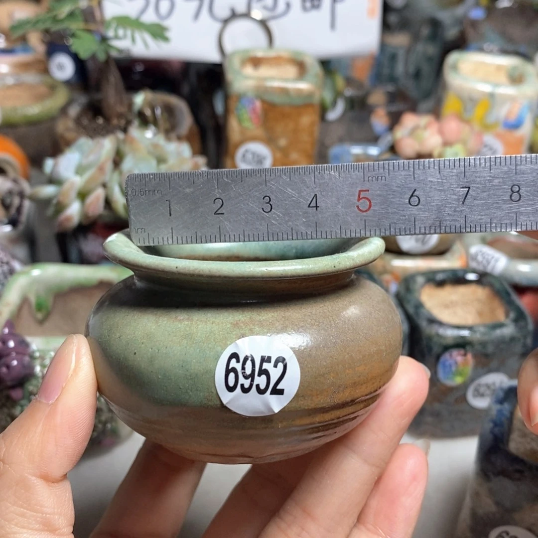 拍5送一个小礼物