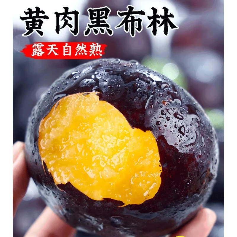 【黑布林鲜果上市】陕西秦岭黑布林李子新鲜水果精选优质农产品