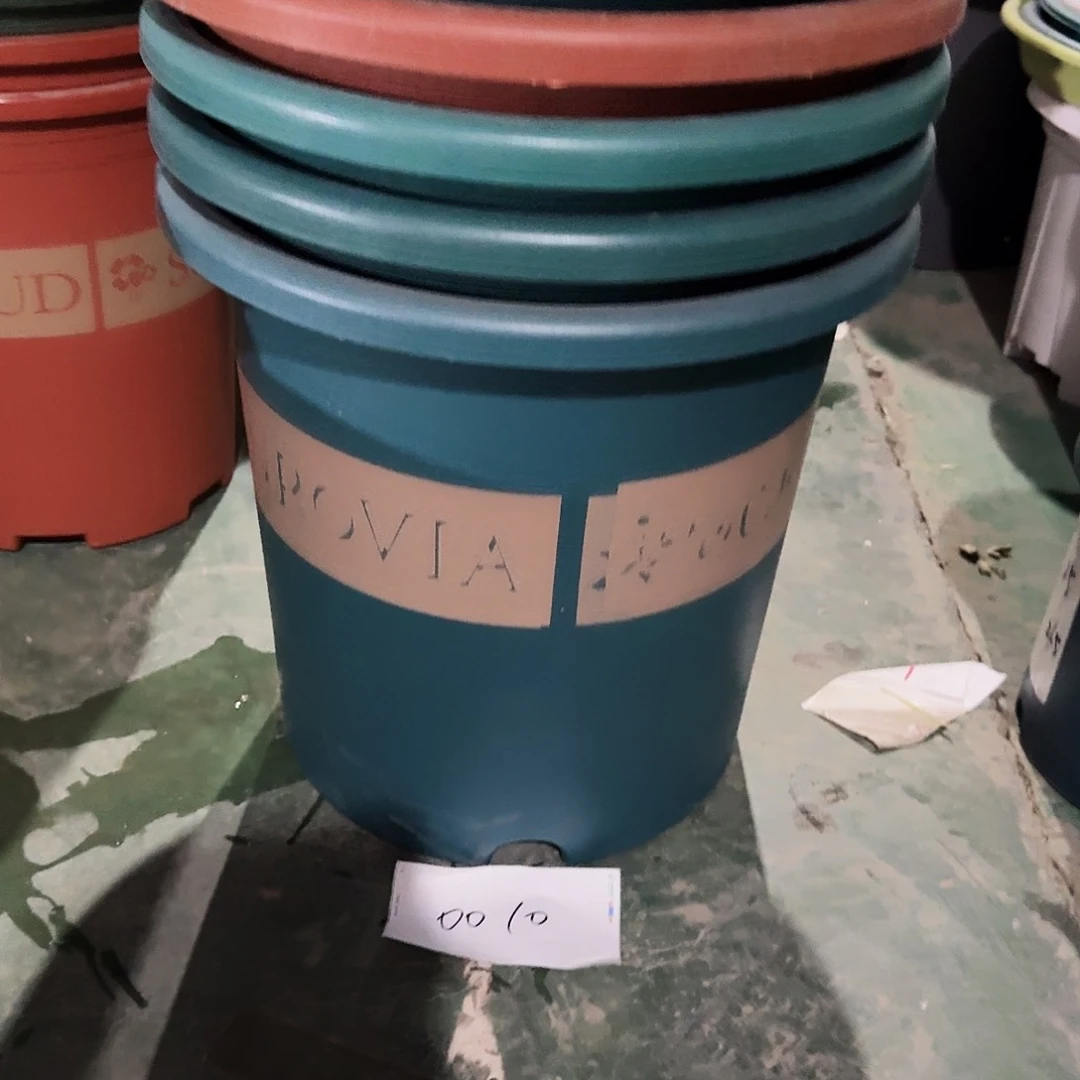 编号0010发5个无拖