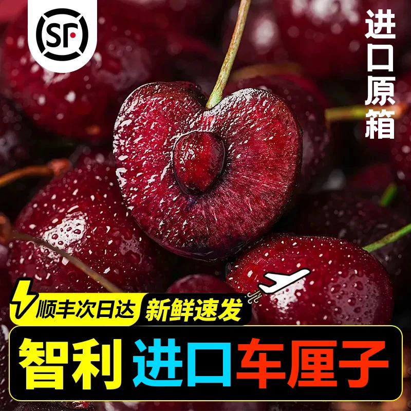 3JDD大果【原箱净重4斤.顺丰明天到】智利进口车厘子新鲜水果孕妈宝宝内附果径卡海运桑提娜桑提娜智利共和国