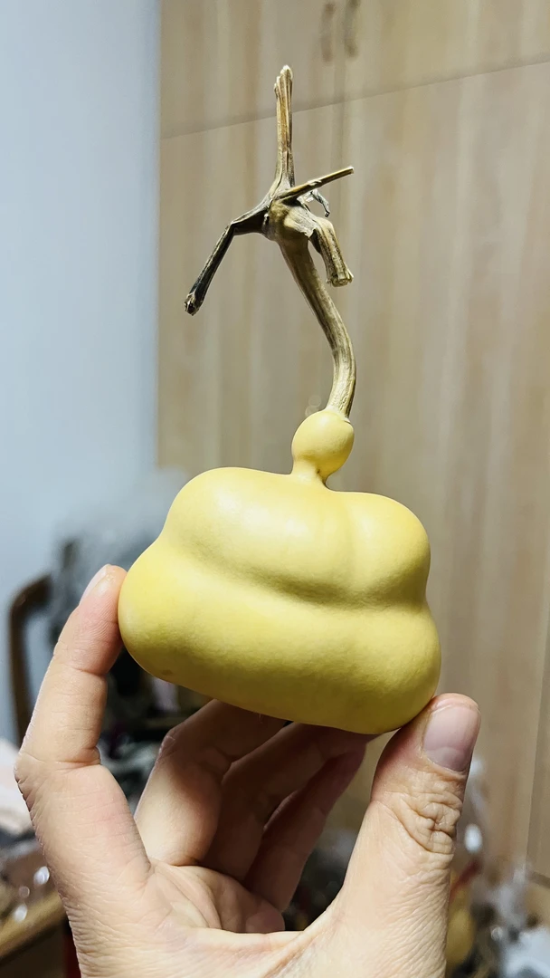 天然葫芦 一物一拍