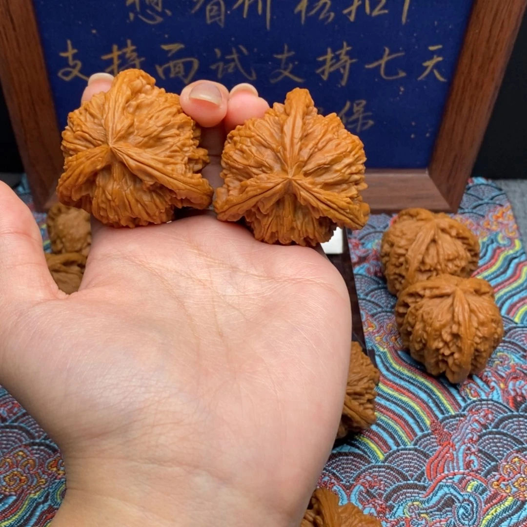 【闪购商品】海*白狮