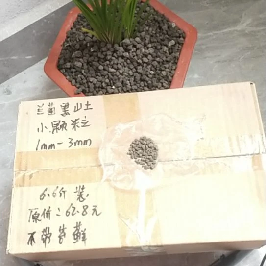 冷***霜兰菌黑山土小颗粒6.6