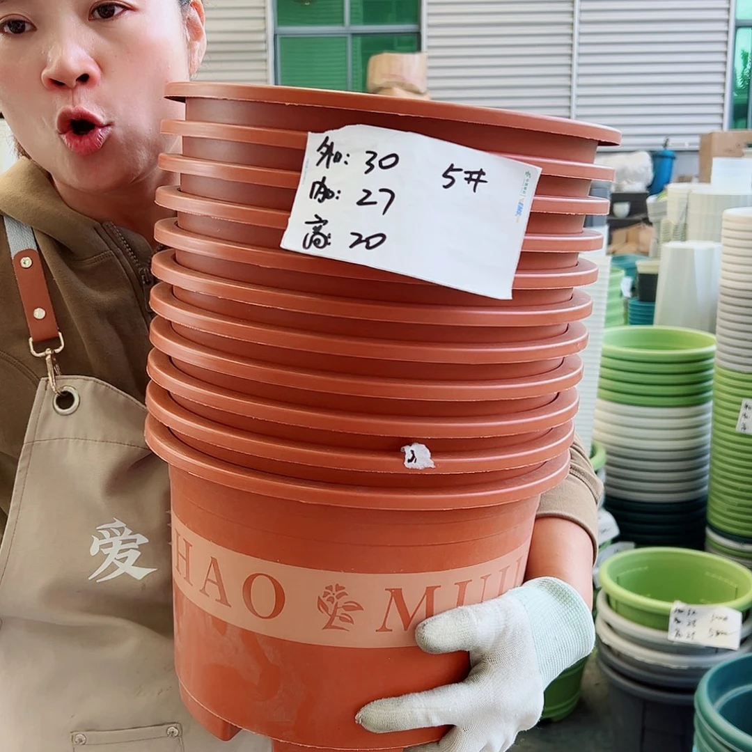 瑕疵矮胖5#红色6个无托
