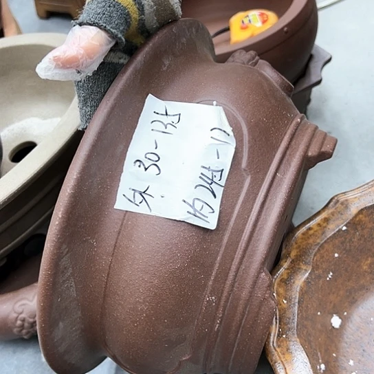 红陶魏*紫砂花盆漂亮