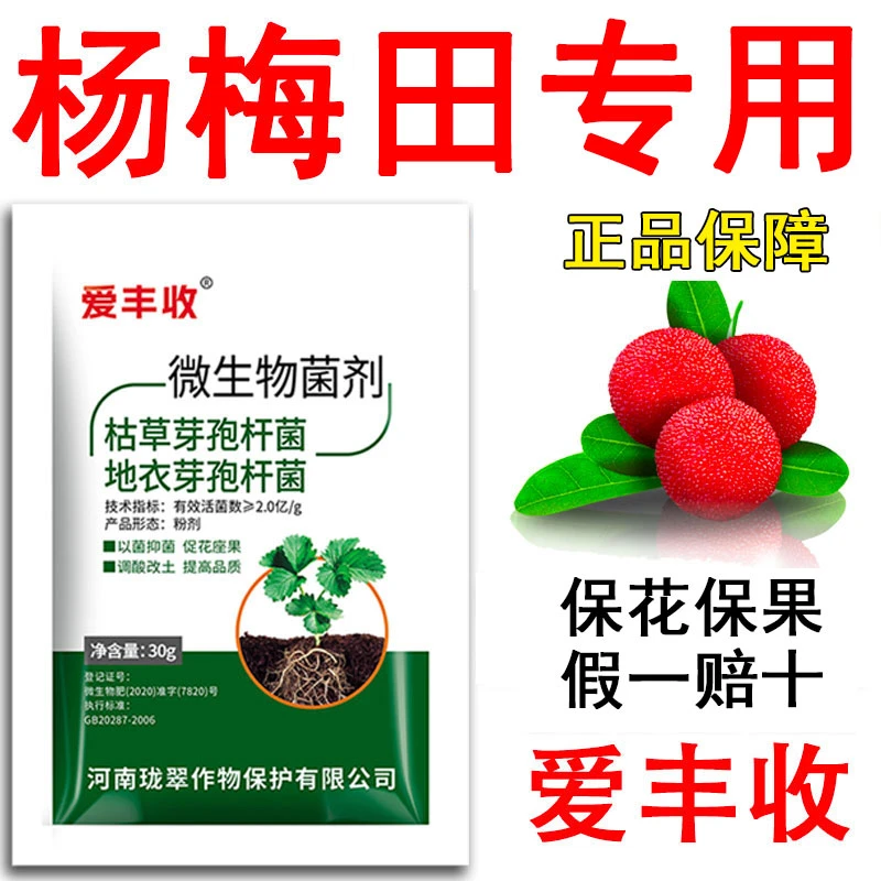 爱丰收杨梅专用微生物菌剂杨梅微生物肥料保花保果复绿微生物肥料