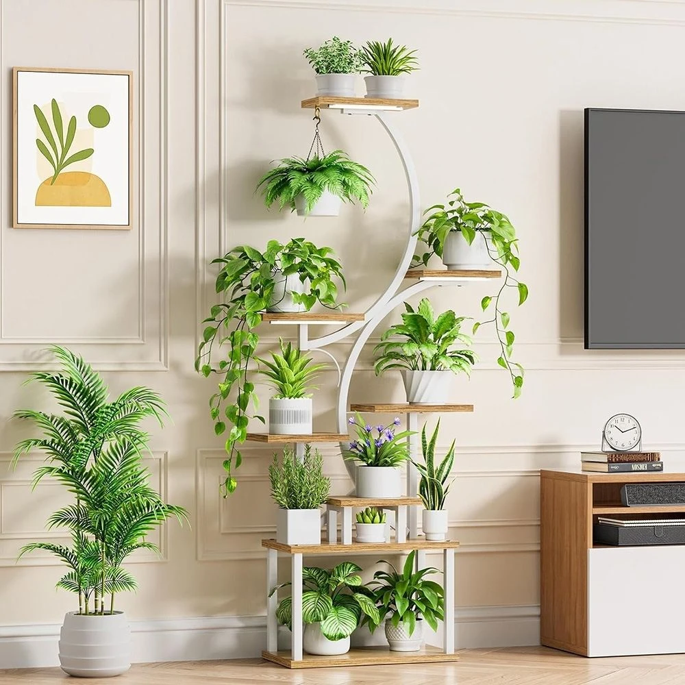 植物花架带种植灯室内植物架多层阳台植物架客厅花架S形家庭置物D