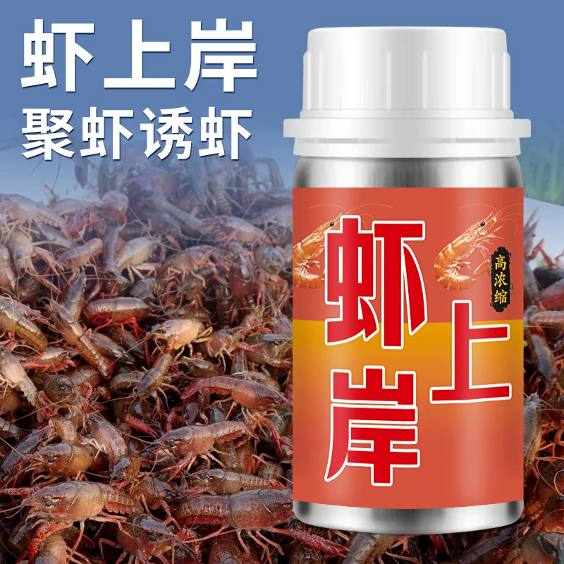 虾上岸钓鱼野钓产品渔具鱼饵料打窝料添加剂钓虾诱虾饵粉末主播款