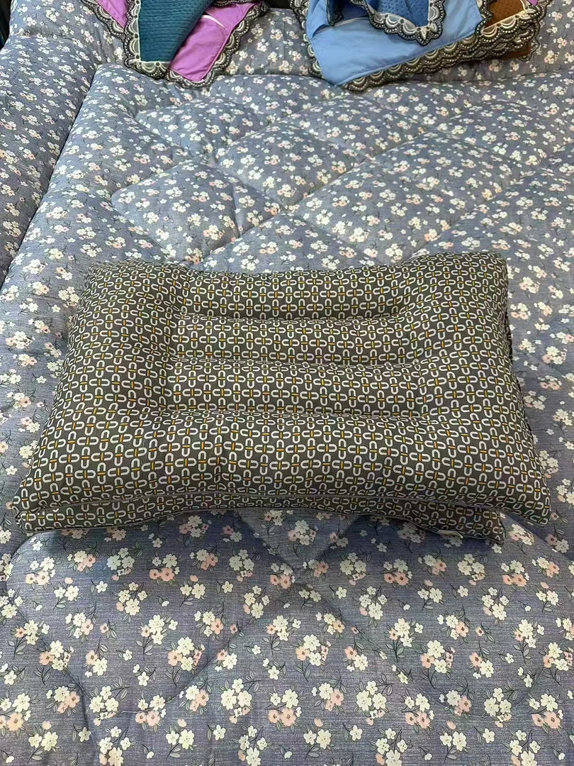 西藏包邮拉萨发货护颈椎成人枕头高弹枕芯家用睡觉宿舍适用