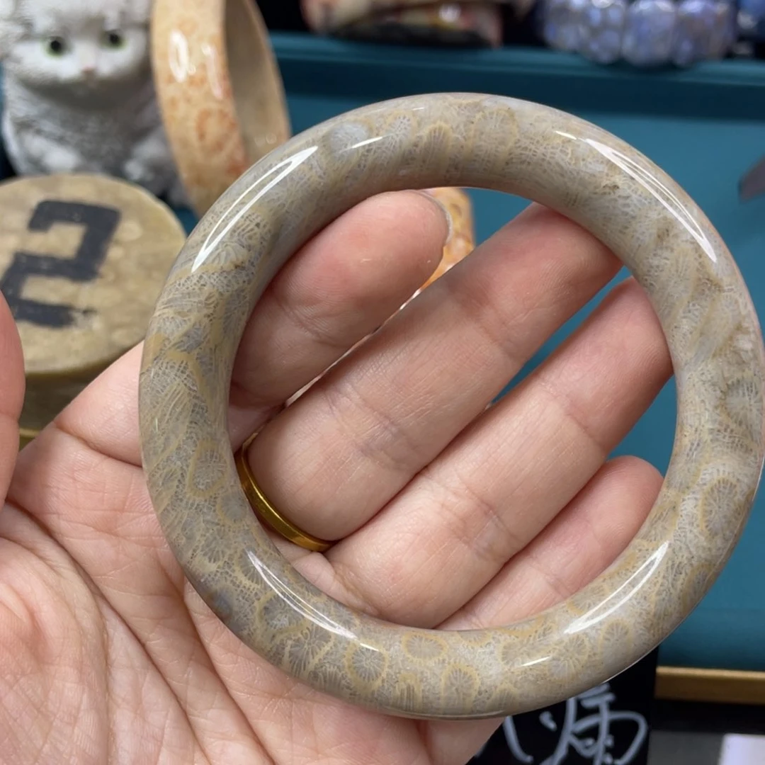 未镶嵌手镯硅化玉