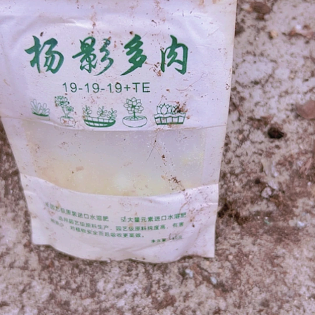 【闪购商品】实验包2包