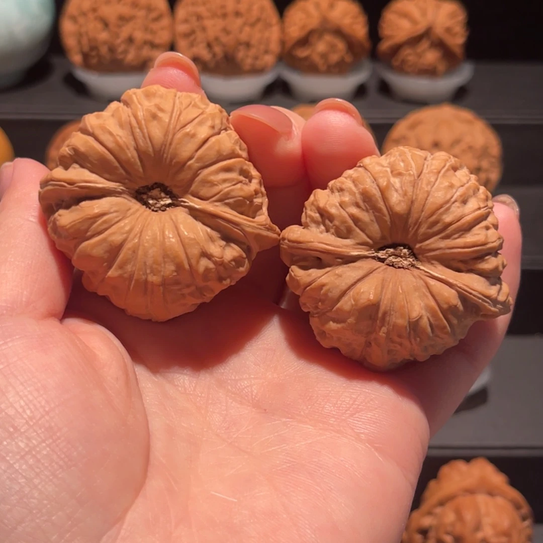 南瓜墩46精品，全品697