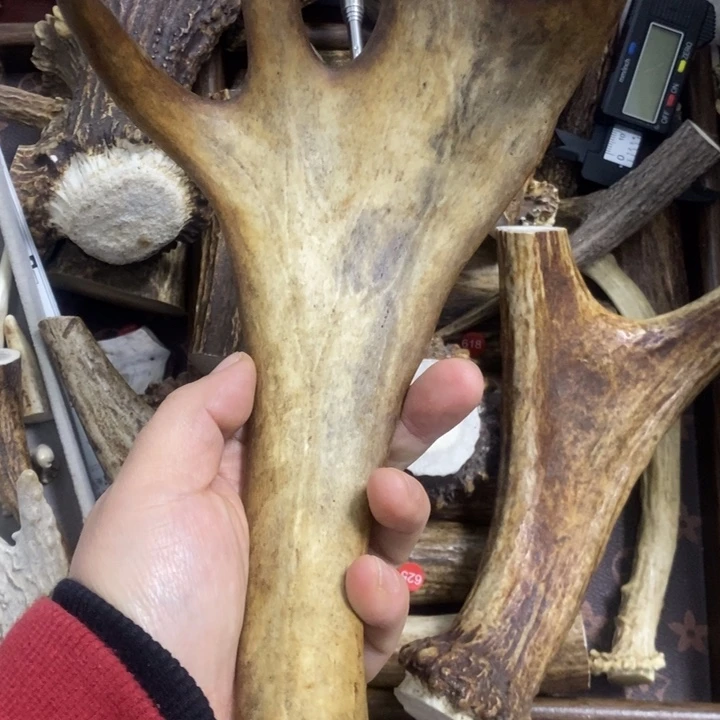 七***阁鹿骨其他专拍专拍专拍专拍