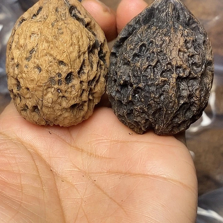 把件文玩核桃云南铁核桃21