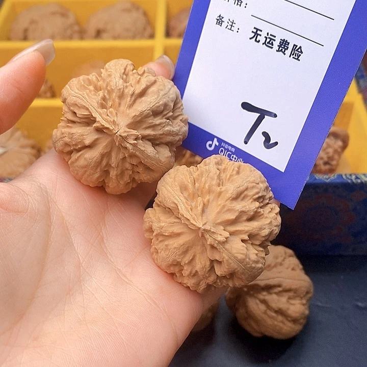 把件文玩核桃文玩核桃霸王龙2