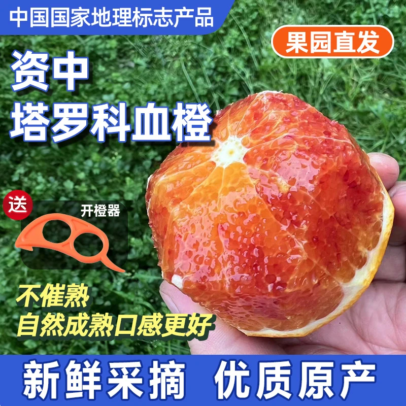 正宗四川资中塔罗科血橙新鲜水果应当季现摘血橙子9斤柑橘包邮