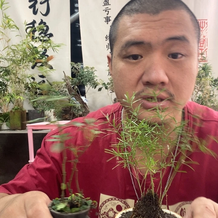 无花朵退款拉黑拉黑5